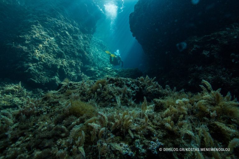 Great Canyon, Dive Site