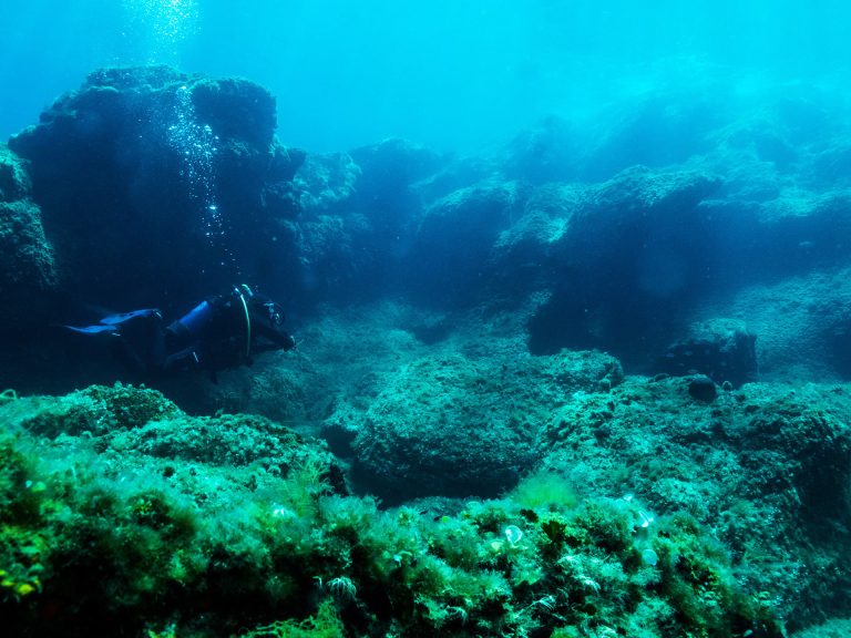 Potoki Dive SIte, Pelion