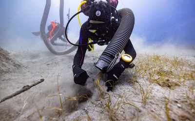 New Discoveries from the Historic Mentor Shipwreck near Kythera