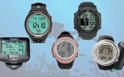 How to Choose a Dive Computer
