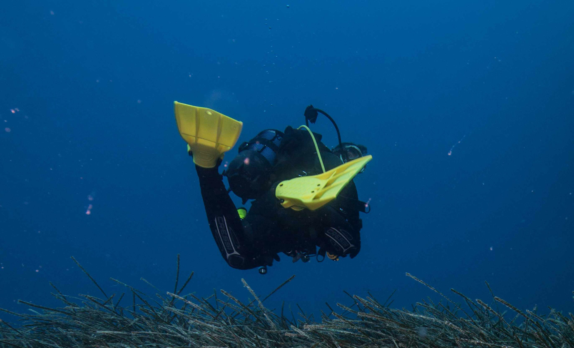 scuba diving fins