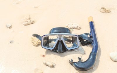 How to Choose a Scuba Diving Mask