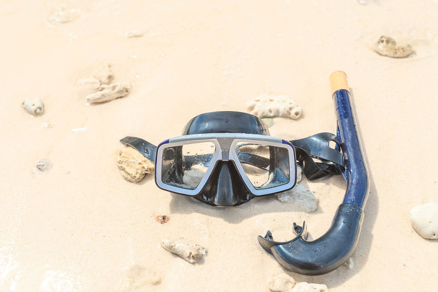 How to Choose a Scuba Diving Mask