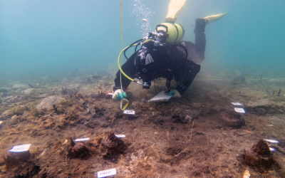 An 8,000-Year-Old Settlement Discovered Beneath Lake Ohrid