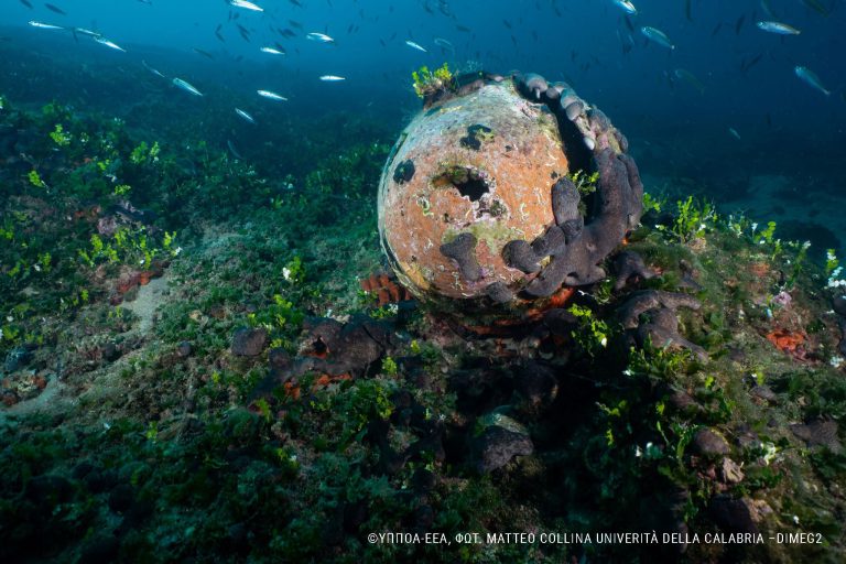 glaros dive site nies