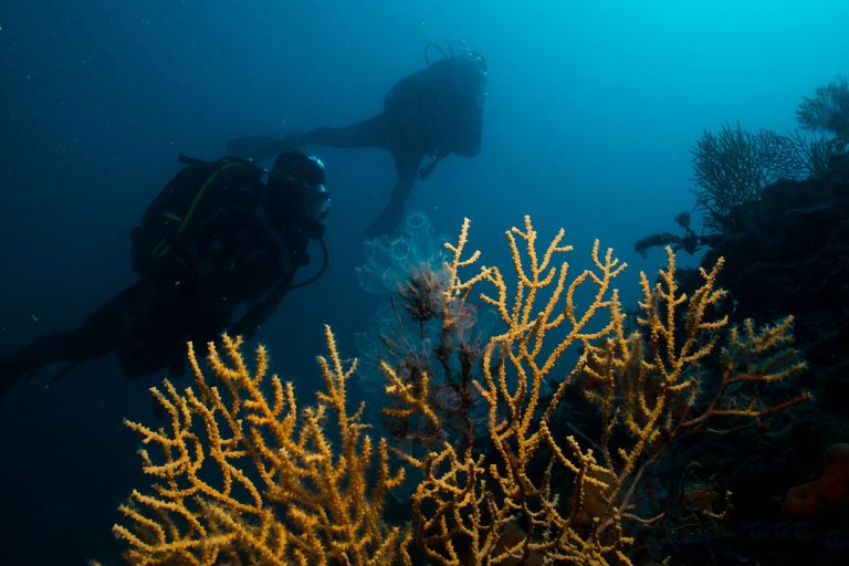 Prasonisi Dive Evia