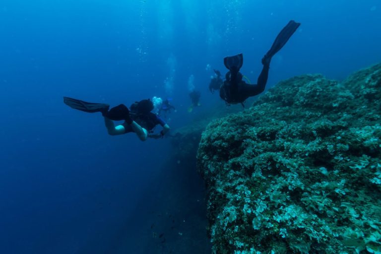 Kanapitsa Dive Site in Skopelos