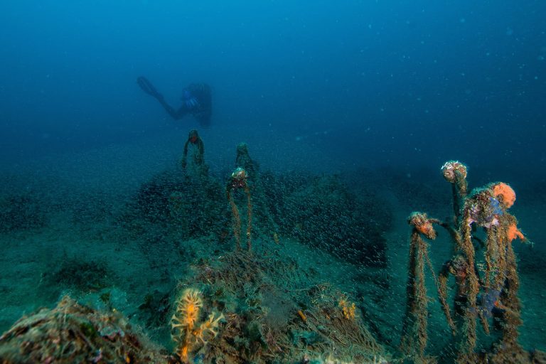 Horto Dive Site, Pelion