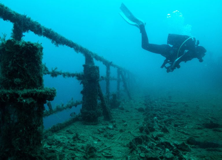 Eurobulker Wreck dive