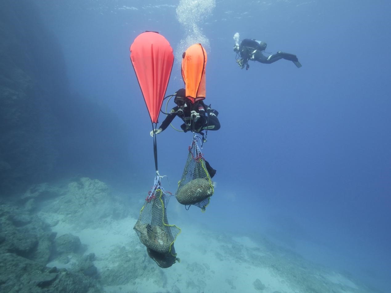 underwater archaeology