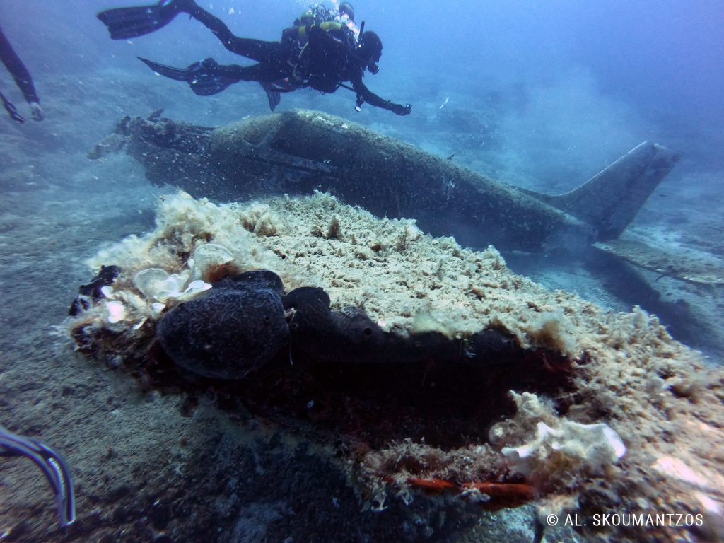 Piper Wreck Makronisos