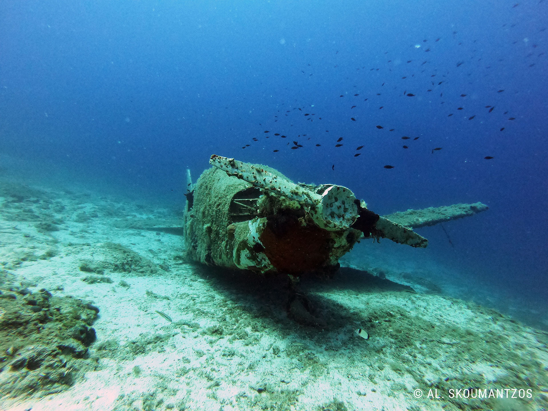 Piper Wreck Makronisos