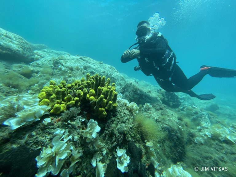 kipos dive site
