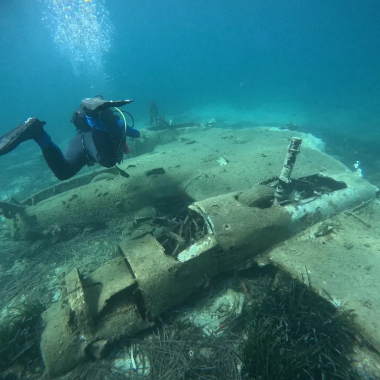 Beechcraft RU-21A wreck