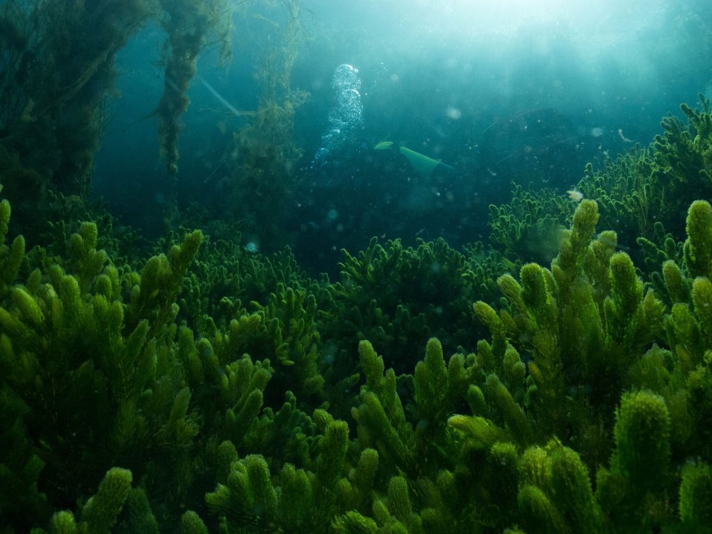 Argyropouli Lake