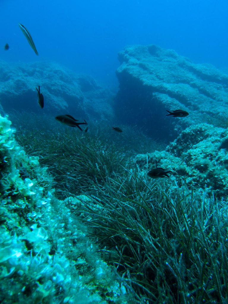 Katafygi, athens diving