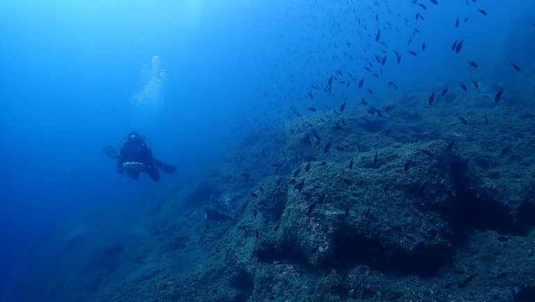 Tarti Reef