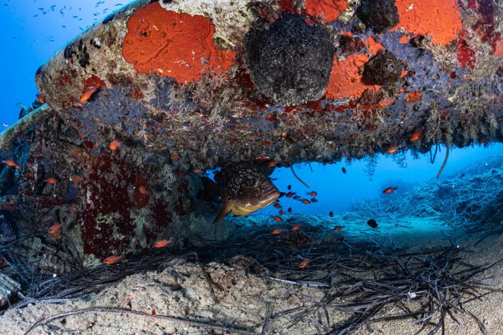 Messerschmitt Bf 109 Wreck Dive | Hersonissos, Crete