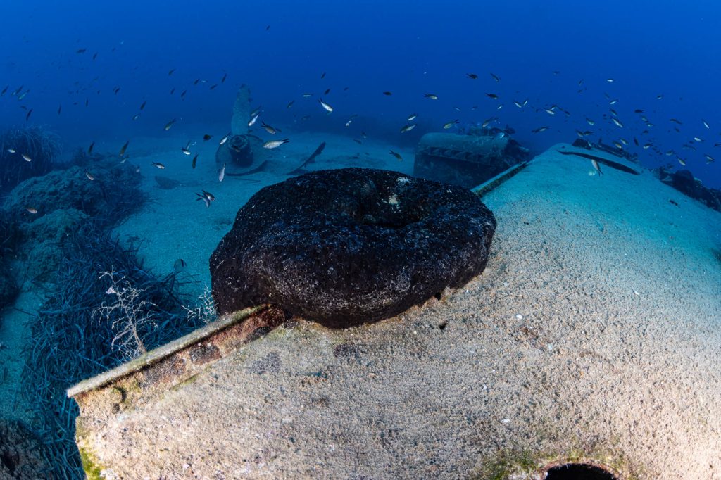 Messerschmitt Bf 109 Wreck Dive | Hersonissos, Crete