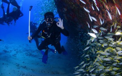Want Better Buoyancy? Leave the Camera Behind