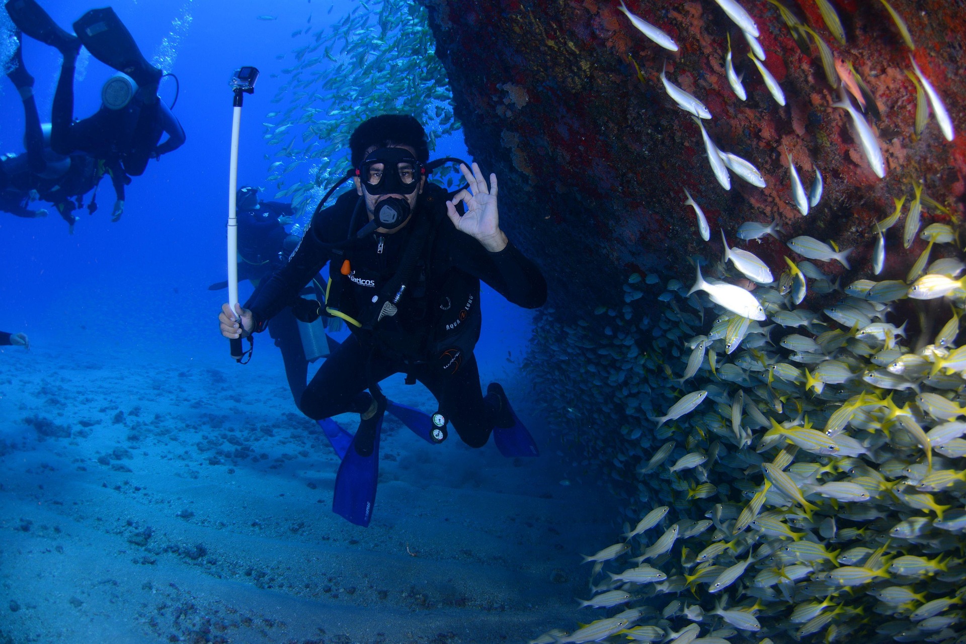 WANT BETTER BUOYANCY? LEAVE THE CAMERA BEHIND © lucatelles