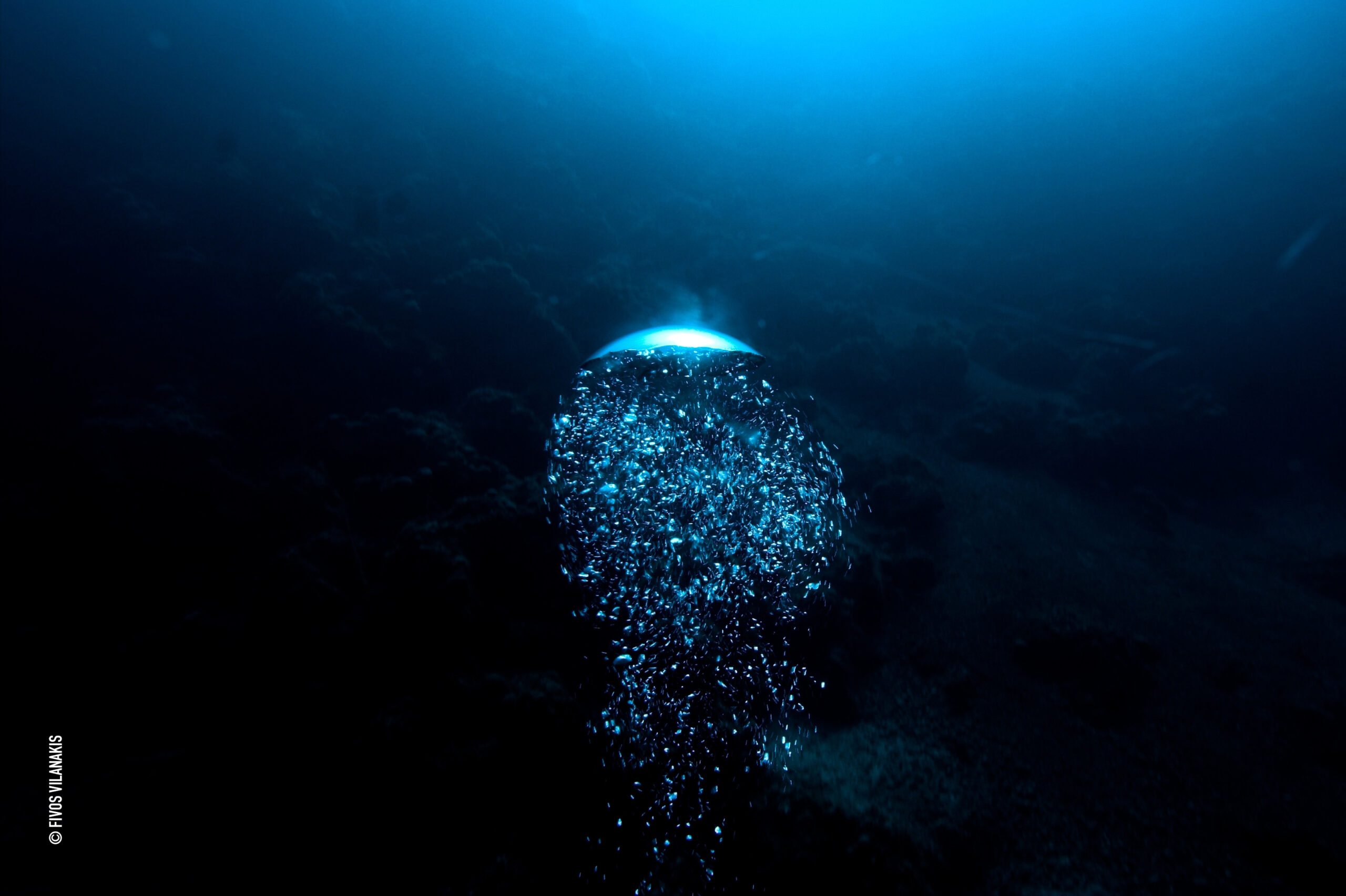 Arterial Gas Embolism (AGE): Understanding One of Diving’s Most Serious Emergencies
