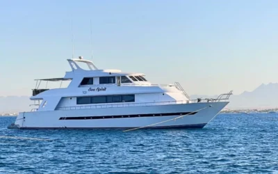 Sea Spirit Sinks in the Red Sea as Liveaboard Safety Concerns Continue to Grow