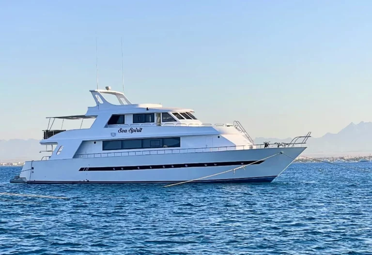 Sea-Spirit-768×527 Sea Spirit