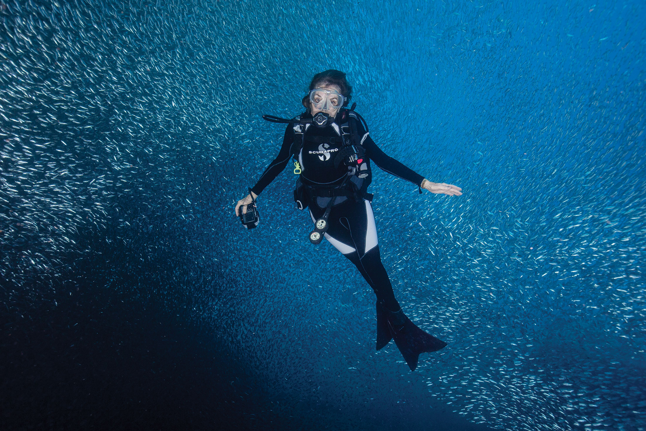 Sylvia Earle: The Woman Who Changed Ocean Exploration
