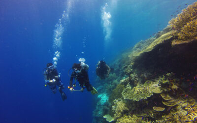 Why Is a Slow Ascent So Important in Scuba Diving?