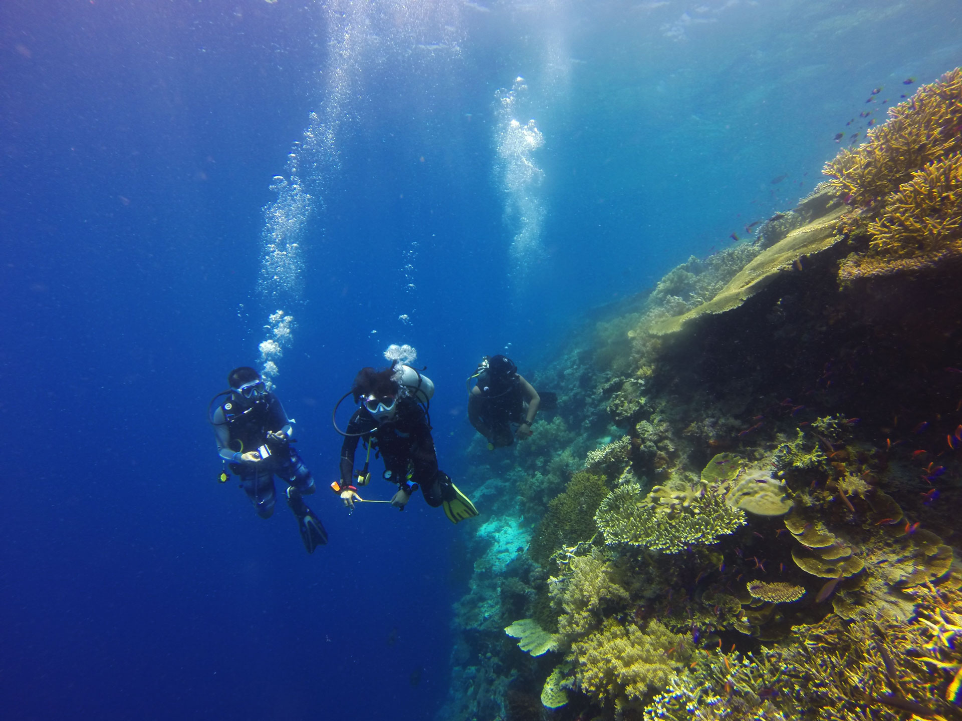 Why Is a Slow Ascent So Important in Scuba Diving?