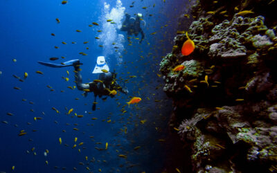 Malaysian Diver Dies During Recreational Dive as Investigation Continues