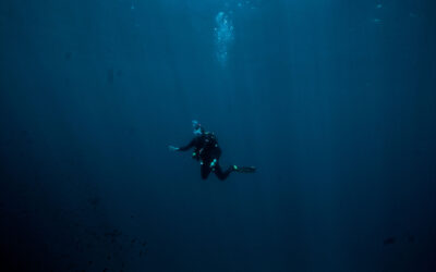 What Should You Do If You Lose Your Dive Buddy?