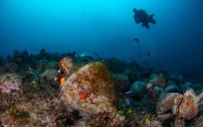 Underwater Cultural Heritage: Protecting the Stories Beneath the Sea