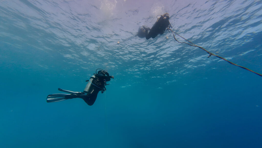 strong currents